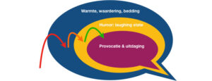 Wat is Provocatieve Coaching